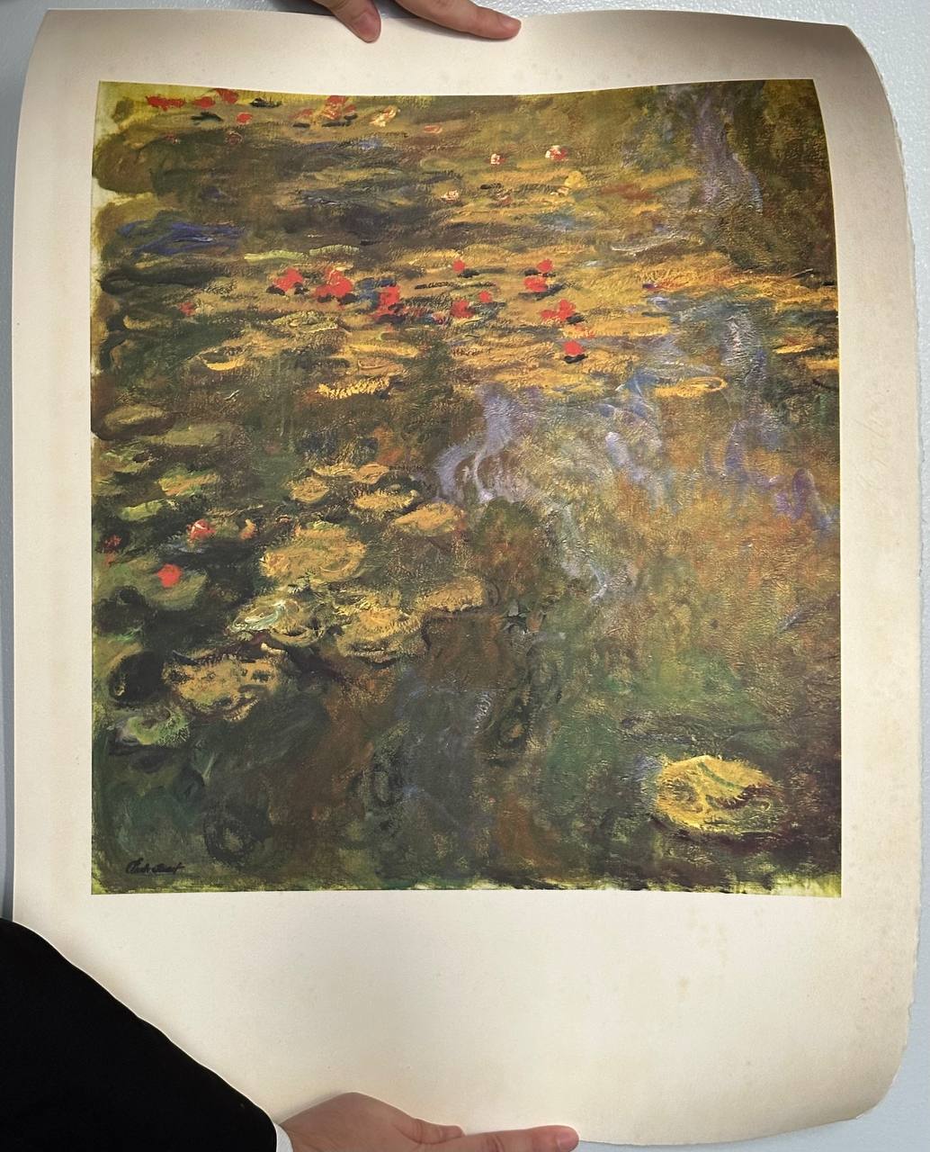 Claude Monet - Le Bassin aux Nymphéas (1972)