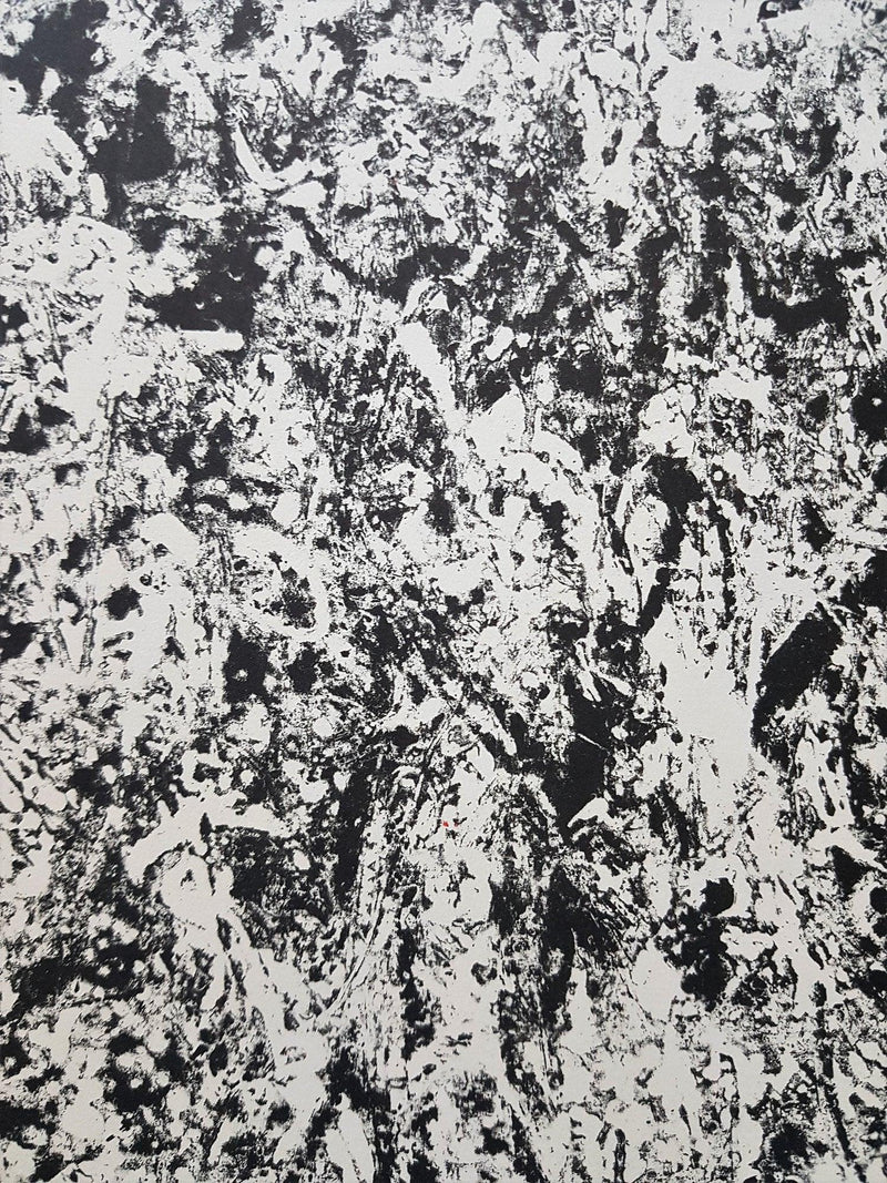 François Fiedler - Hedonism Gallery