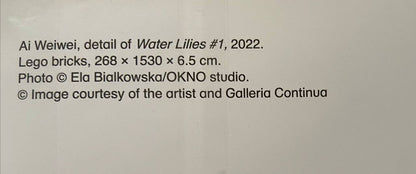 Ai Weiwei - Water Lilies #1 - Ai Weiwei, Print - Hedonism Gallery
