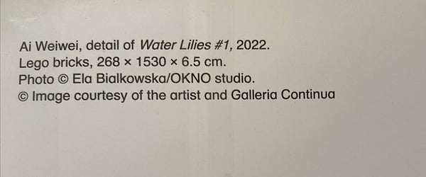 Ai Weiwei - Water Lilies #1