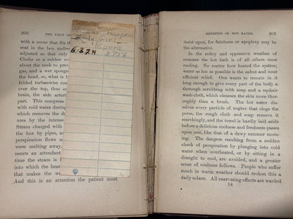 Ugly-Girl Papers from Harpers Bazar (New York, 1875)